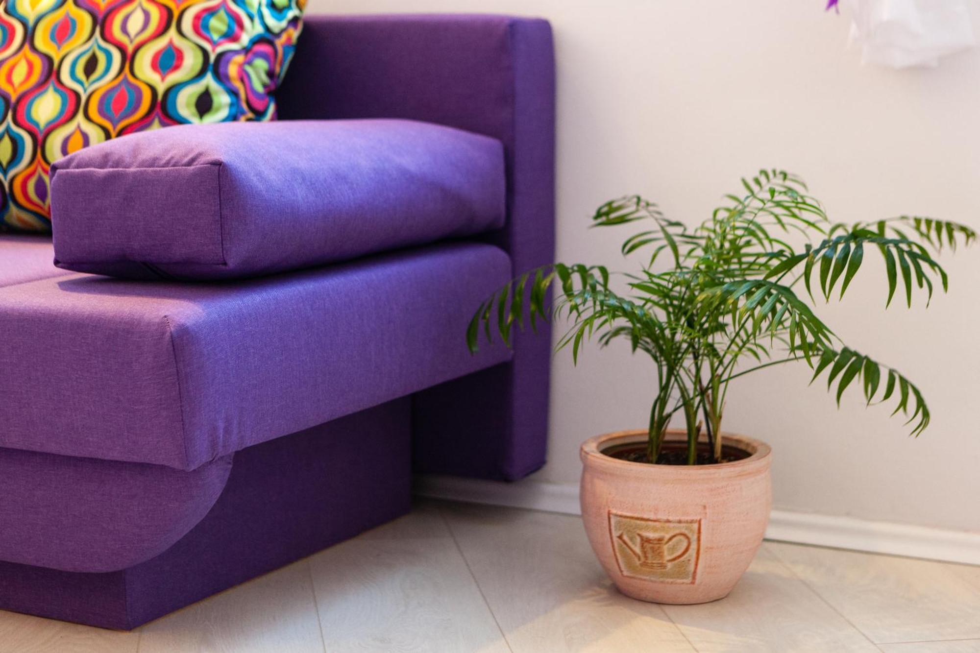 Split Old Town Apartment Dış mekan fotoğraf